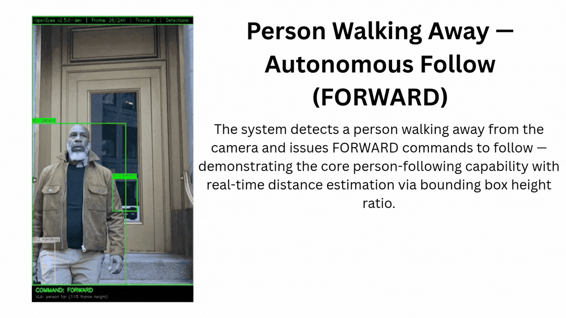 Autonomous Person Following Demo